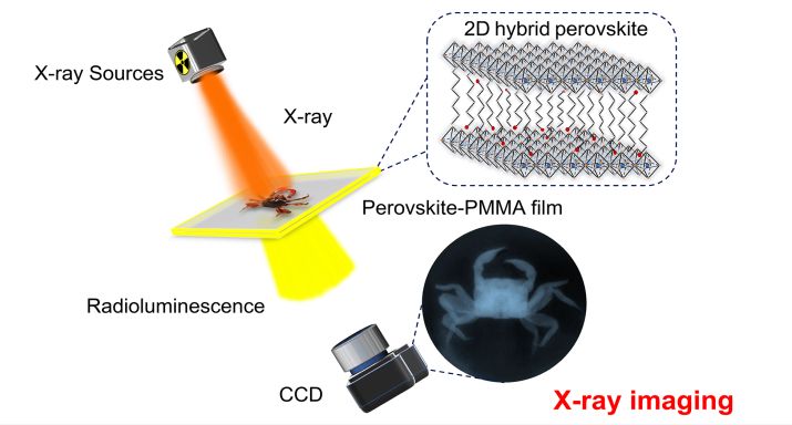 Preparation of Lead-free Two-dimensional Layer.jpg