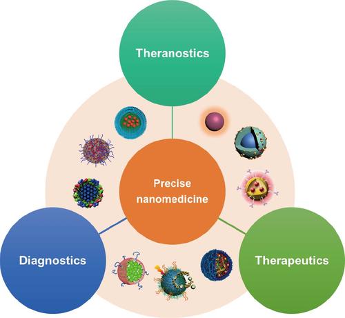 2018-SCIENCE CHINA C-Precise nanomedicine for.jpg