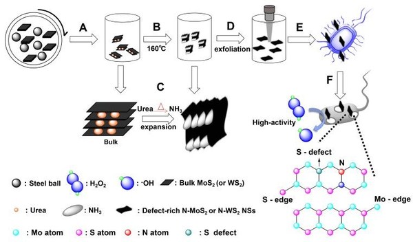 Two-step gas_liquid strategy for production of.jpg